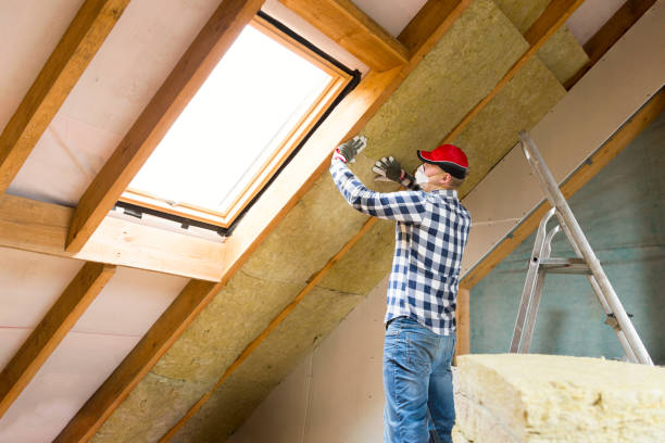 Best Insulation Air Sealing  in Robbins, IL